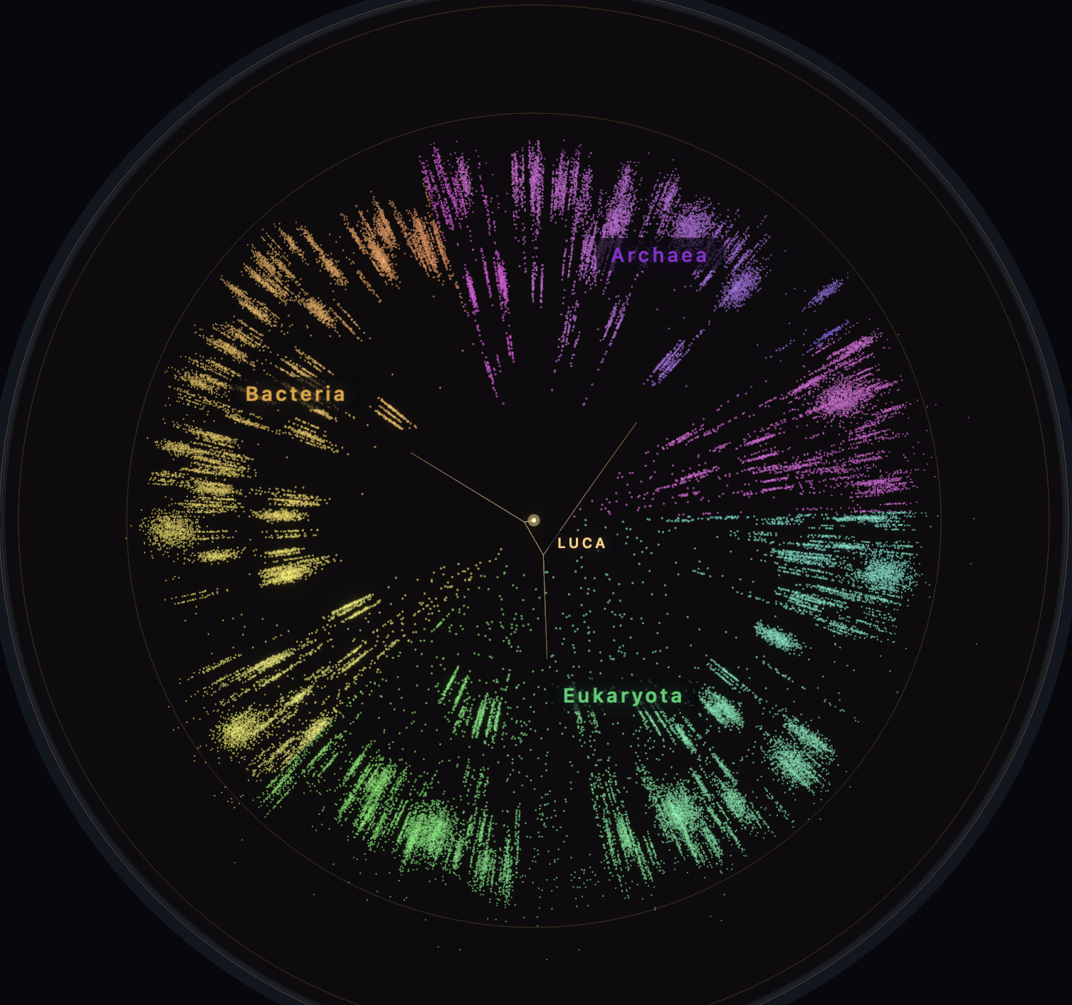 Biosphere Atlas — Poincaré disk visualization of the tree of life